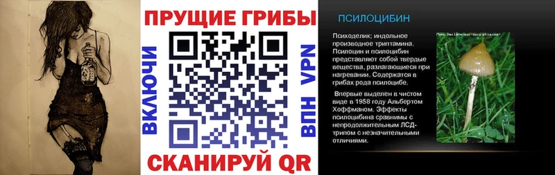 kraken сайт  Зубцов  Псилоцибиновые грибы GOLDEN TEACHER 